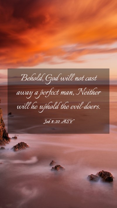 Picture 03 - Job 8:20 ASV Mobile Phone Wallpaper - Behold, God will not cast away a perfect man, - Mobile Bible Verse Wallpaper