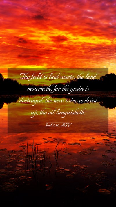 Picture 03 - Joel 1:10 ASV Mobile Phone Wallpaper - The field is laid waste, the land mourneth; for - Mobile Bible Verse Wallpaper