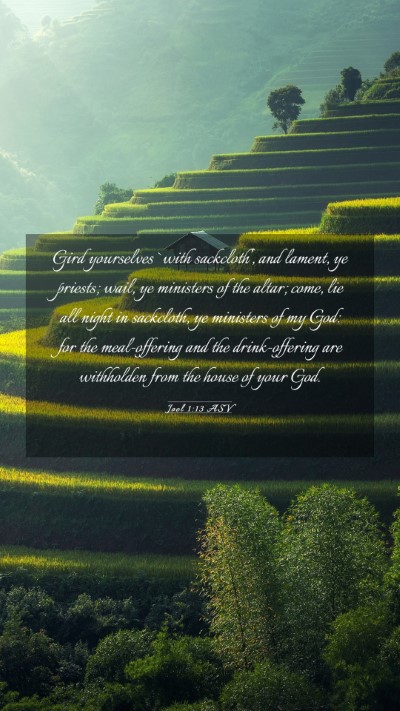 Picture 03 - Joel 1:13 ASV Mobile Phone Wallpaper - Gird yourselves `with sackcloth', and lament, ye - Mobile Bible Verse Wallpaper