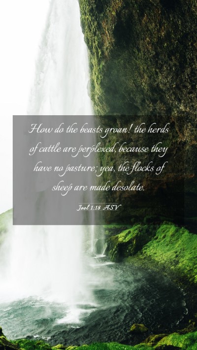 Picture 03 - Joel 1:18 ASV Mobile Phone Wallpaper - How do the beasts groan! the herds of cattle are - Mobile Bible Verse Wallpaper