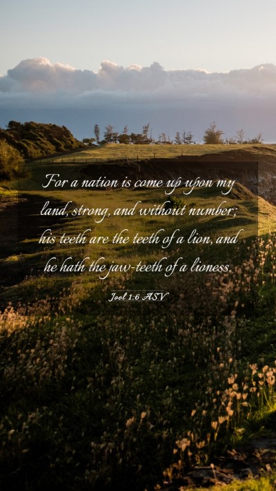 Picture 03 - Joel 1:6 ASV Mobile Phone Wallpaper - For a nation is come up upon my land, strong, and - Mobile Bible Verse Wallpaper