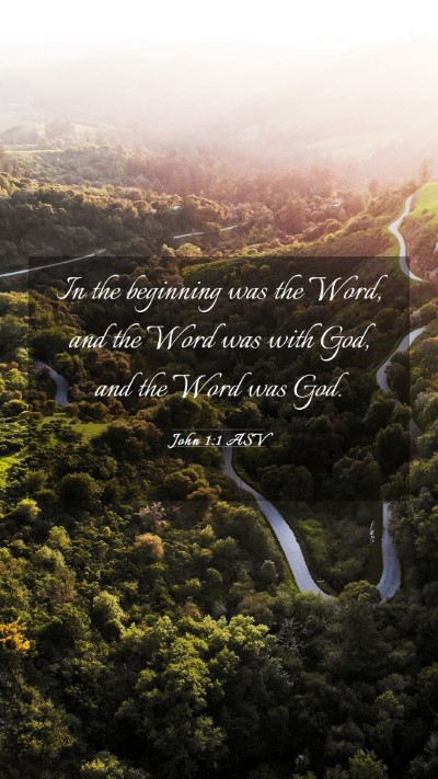 Picture 03 - John 1:1 ASV Mobile Phone Wallpaper - In the beginning was the Word, and the Word was - Mobile Bible Verse Wallpaper