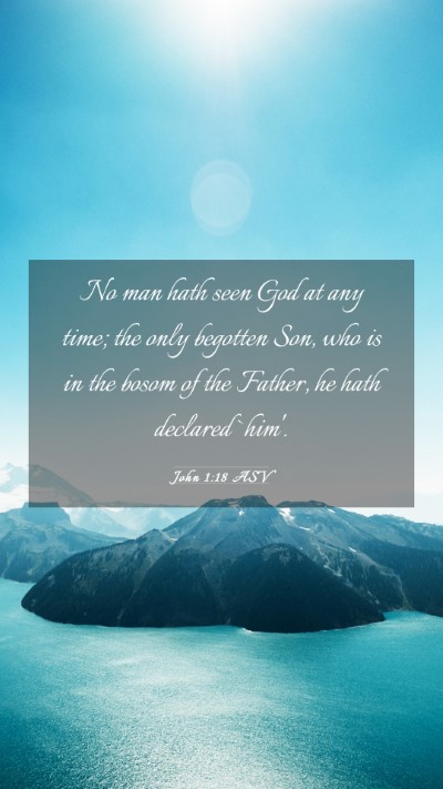 Picture 03 - John 1:18 ASV Mobile Phone Wallpaper - No man hath seen God at any time; the only - Mobile Bible Verse Wallpaper