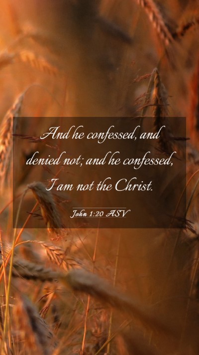 Picture 03 - John 1:20 ASV Mobile Phone Wallpaper - And he confessed, and denied not; and he - Mobile Bible Verse Wallpaper
