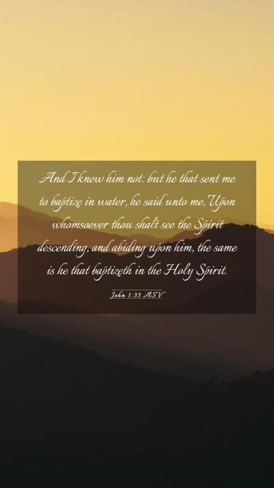 Picture 03 - John 1:33 ASV Mobile Phone Wallpaper - And I knew him not: but he that sent me to - Mobile Bible Verse Wallpaper