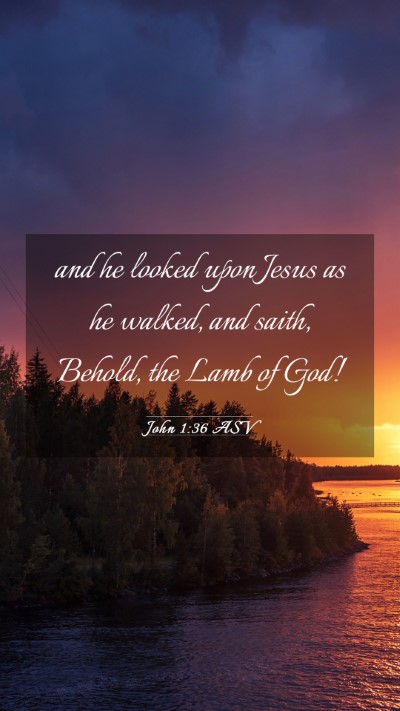 Picture 03 - John 1:36 ASV Mobile Phone Wallpaper - and he looked upon Jesus as he walked, and saith, - Mobile Bible Verse Wallpaper
