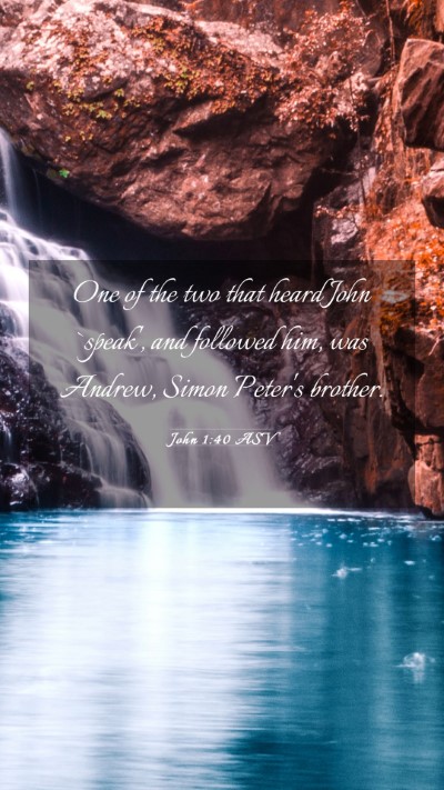 Picture 03 - John 1:40 ASV Mobile Phone Wallpaper - One of the two that heard John `speak', and - Mobile Bible Verse Wallpaper