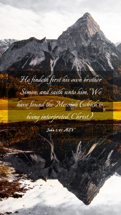 Picture 03 - John 1:41 ASV Mobile Phone Wallpaper - He findeth first his own brother Simon, and saith - Mobile Bible Verse Wallpaper