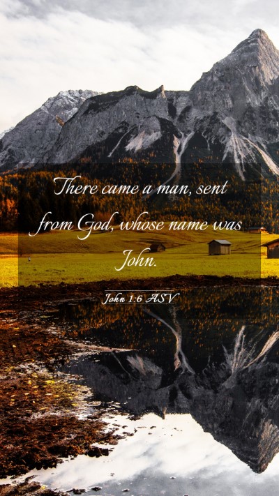 Picture 03 - John 1:6 ASV Mobile Phone Wallpaper - There came a man, sent from God, whose name was - Mobile Bible Verse Wallpaper