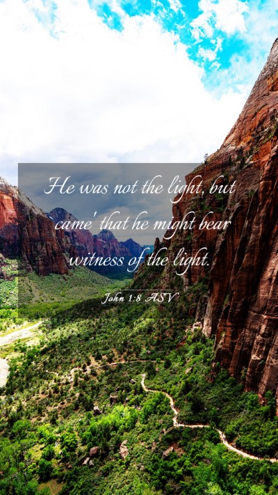Picture 03 - John 1:8 ASV Mobile Phone Wallpaper - He was not the light, but `came' that he might - Mobile Bible Verse Wallpaper