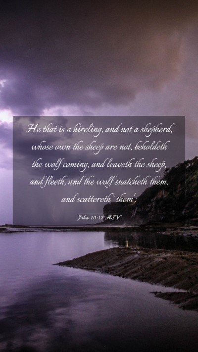 Picture 03 - John 10:12 ASV Mobile Phone Wallpaper - He that is a hireling, and not a shepherd, whose - Mobile Bible Verse Wallpaper