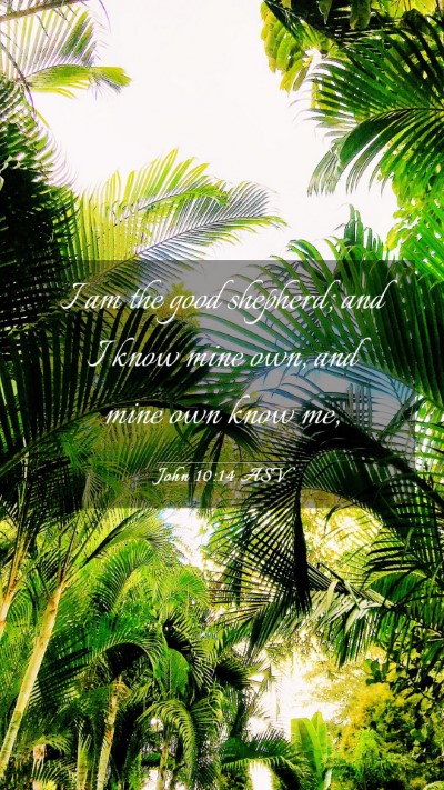 Picture 03 - John 10:14 ASV Mobile Phone Wallpaper - I am the good shepherd; and I know mine own, and - Mobile Bible Verse Wallpaper