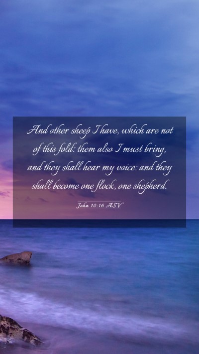 Picture 03 - John 10:16 ASV Mobile Phone Wallpaper - And other sheep I have, which are not of this - Mobile Bible Verse Wallpaper