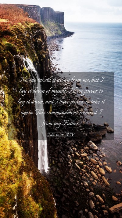 Picture 03 - John 10:18 ASV Mobile Phone Wallpaper - No one taketh it away from me, but I lay it down - Mobile Bible Verse Wallpaper