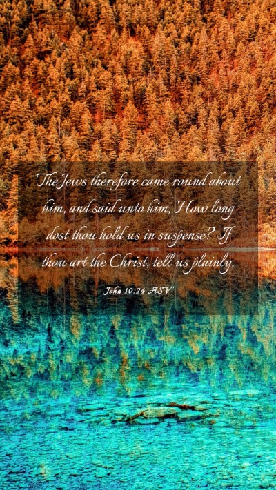 Picture 03 - John 10:24 ASV Mobile Phone Wallpaper - The Jews therefore came round about him, and said - Mobile Bible Verse Wallpaper