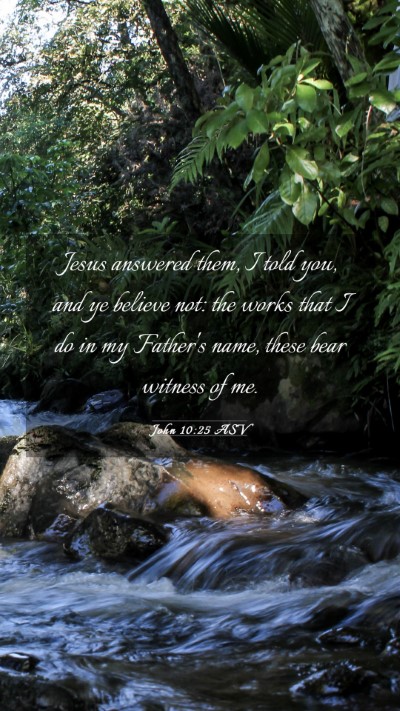 Picture 03 - John 10:25 ASV Mobile Phone Wallpaper - Jesus answered them, I told you, and ye believe - Mobile Bible Verse Wallpaper