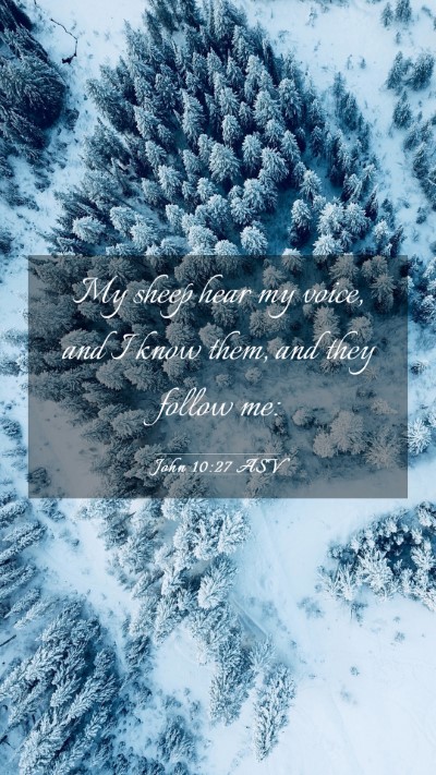Picture 03 - John 10:27 ASV Mobile Phone Wallpaper - My sheep hear my voice, and I know them, and they - Mobile Bible Verse Wallpaper