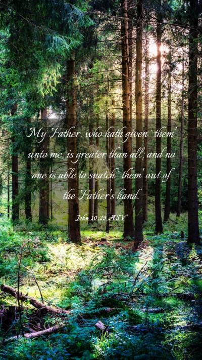 Picture 03 - John 10:29 ASV Mobile Phone Wallpaper - My Father, who hath given `them' unto me, is - Mobile Bible Verse Wallpaper
