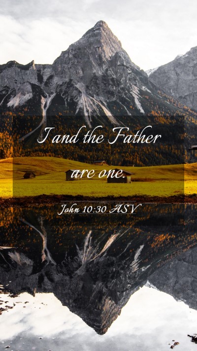 Picture 03 - John 10:30 ASV Mobile Phone Wallpaper - I and the Father are - Mobile Bible Verse Wallpaper