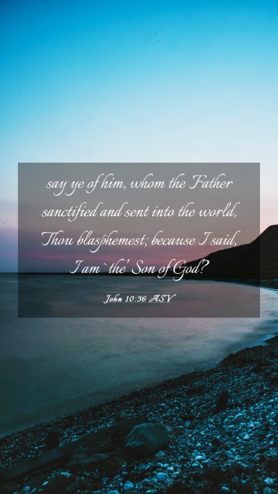 Picture 03 - John 10:36 ASV Mobile Phone Wallpaper - say ye of him, whom the Father sanctified and - Mobile Bible Verse Wallpaper