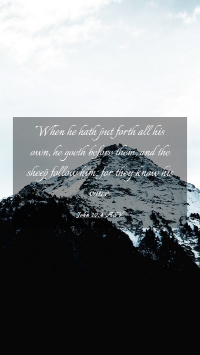 Picture 03 - John 10:4 ASV Mobile Phone Wallpaper - When he hath put forth all his own, he goeth - Mobile Bible Verse Wallpaper