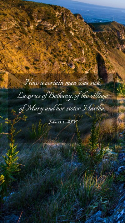 Picture 03 - John 11:1 ASV Mobile Phone Wallpaper - Now a certain man was sick, Lazarus of Bethany, - Mobile Bible Verse Wallpaper