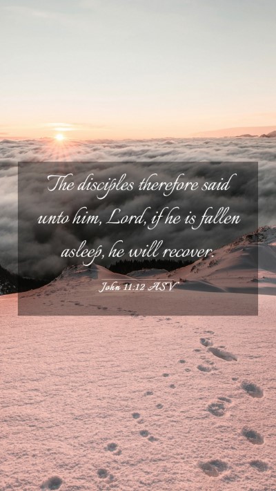 Picture 03 - John 11:12 ASV Mobile Phone Wallpaper - The disciples therefore said unto him, Lord, if - Mobile Bible Verse Wallpaper