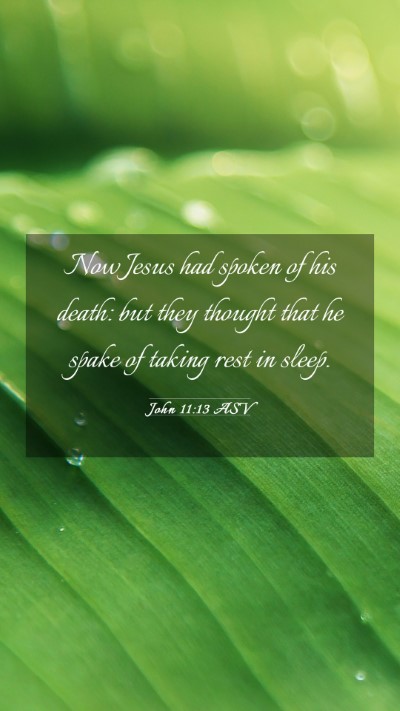Picture 03 - John 11:13 ASV Mobile Phone Wallpaper - Now Jesus had spoken of his death: but they - Mobile Bible Verse Wallpaper