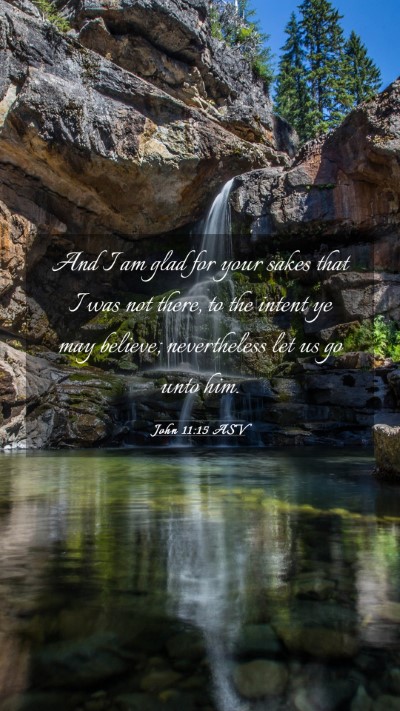 Picture 03 - John 11:15 ASV Mobile Phone Wallpaper - And I am glad for your sakes that I was not - Mobile Bible Verse Wallpaper