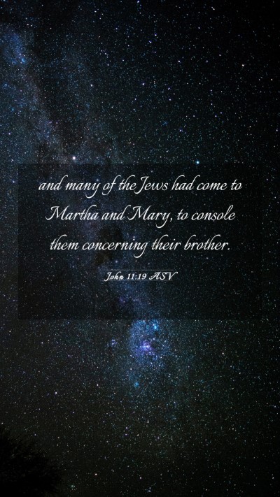 Picture 03 - John 11:19 ASV Mobile Phone Wallpaper - and many of the Jews had come to Martha and Mary, - Mobile Bible Verse Wallpaper