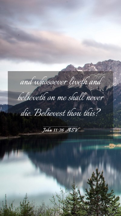 Picture 03 - John 11:26 ASV Mobile Phone Wallpaper - and whosoever liveth and believeth on me shall - Mobile Bible Verse Wallpaper