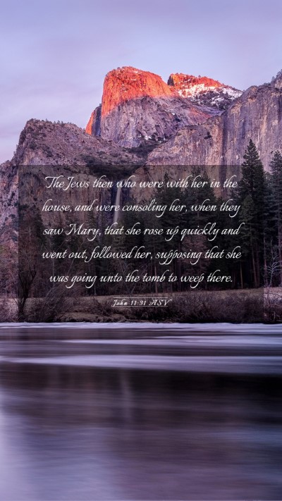 Picture 03 - John 11:31 ASV Mobile Phone Wallpaper - The Jews then who were with her in the house, and - Mobile Bible Verse Wallpaper