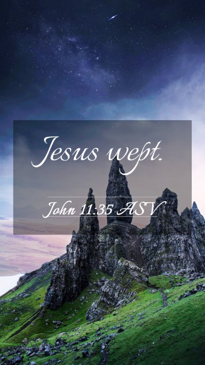 Picture 03 - John 11:35 ASV Mobile Phone Wallpaper - Jesus - Mobile Bible Verse Wallpaper
