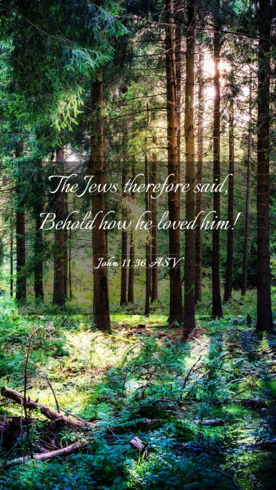 Picture 03 - John 11:36 ASV Mobile Phone Wallpaper - The Jews therefore said, Behold how he loved - Mobile Bible Verse Wallpaper