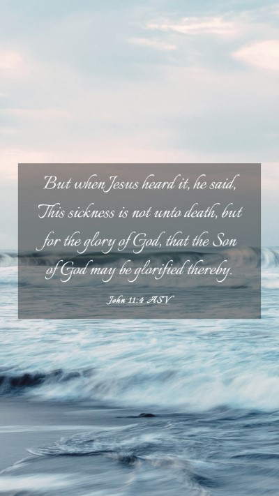Picture 03 - John 11:4 ASV Mobile Phone Wallpaper - But when Jesus heard it, he said, This sickness - Mobile Bible Verse Wallpaper