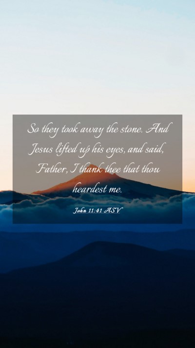 Picture 03 - John 11:41 ASV Mobile Phone Wallpaper - So they took away the stone. And Jesus lifted up - Mobile Bible Verse Wallpaper