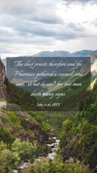 Picture 03 - John 11:47 ASV Mobile Phone Wallpaper - The chief priests therefore and the Pharisees - Mobile Bible Verse Wallpaper