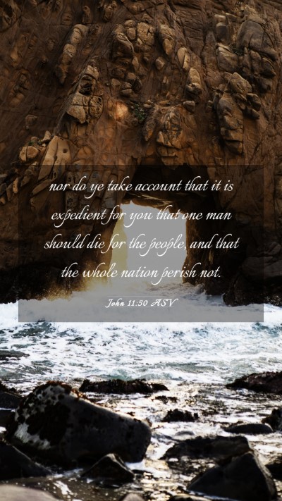 Picture 03 - John 11:50 ASV Mobile Phone Wallpaper - nor do ye take account that it is expedient for - Mobile Bible Verse Wallpaper