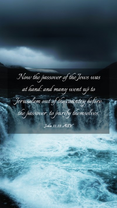 Picture 03 - John 11:55 ASV Mobile Phone Wallpaper - Now the passover of the Jews was at hand: and - Mobile Bible Verse Wallpaper