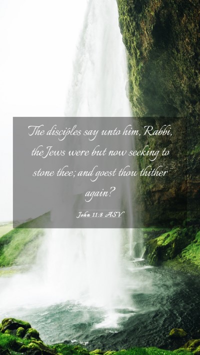 Picture 03 - John 11:8 ASV Mobile Phone Wallpaper - The disciples say unto him, Rabbi, the Jews were - Mobile Bible Verse Wallpaper