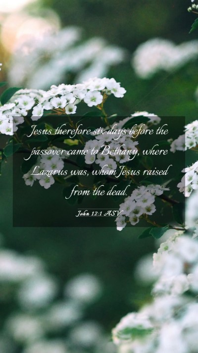 Picture 03 - John 12:1 ASV Mobile Phone Wallpaper - Jesus therefore six days before the passover came - Mobile Bible Verse Wallpaper