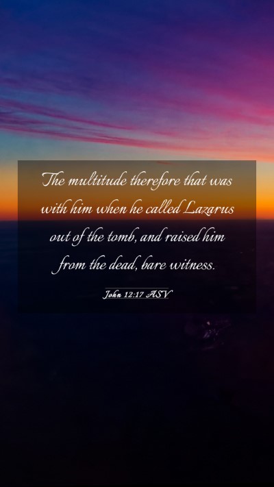 Picture 03 - John 12:17 ASV Mobile Phone Wallpaper - The multitude therefore that was with him when he - Mobile Bible Verse Wallpaper