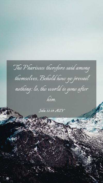 Picture 03 - John 12:19 ASV Mobile Phone Wallpaper - The Pharisees therefore said among themselves, - Mobile Bible Verse Wallpaper