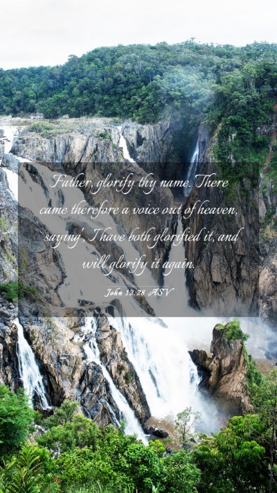 Picture 03 - John 12:28 ASV Mobile Phone Wallpaper - Father, glorify thy name. There came therefore a - Mobile Bible Verse Wallpaper