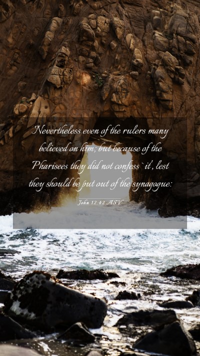 Picture 03 - John 12:42 ASV Mobile Phone Wallpaper - Nevertheless even of the rulers many believed on - Mobile Bible Verse Wallpaper