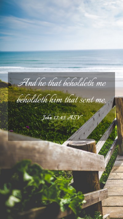 Picture 03 - John 12:45 ASV Mobile Phone Wallpaper - And he that beholdeth me beholdeth him that sent - Mobile Bible Verse Wallpaper