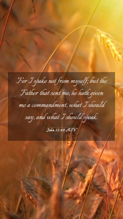 Picture 03 - John 12:49 ASV Mobile Phone Wallpaper - For I spake not from myself; but the Father that - Mobile Bible Verse Wallpaper