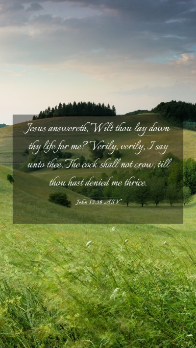 Picture 03 - John 13:38 ASV Mobile Phone Wallpaper - Jesus answereth, Wilt thou lay down thy life for - Mobile Bible Verse Wallpaper
