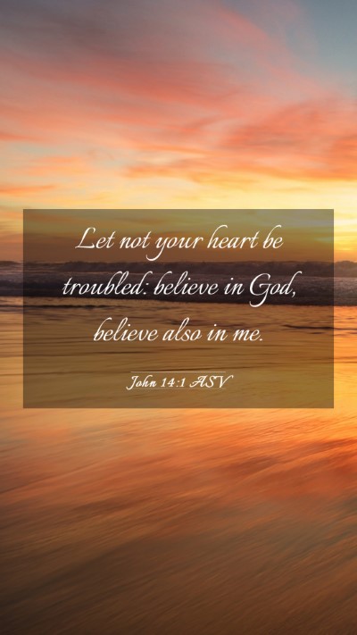 Picture 03 - John 14:1 ASV Mobile Phone Wallpaper - Let not your heart be troubled: believe in God, - Mobile Bible Verse Wallpaper