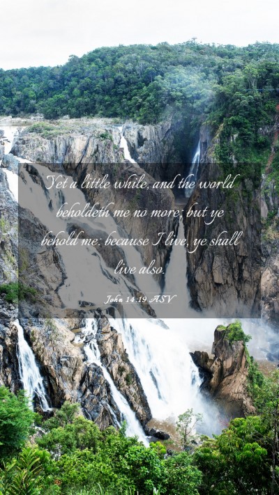 Picture 03 - John 14:19 ASV Mobile Phone Wallpaper - Yet a little while, and the world beholdeth me no - Mobile Bible Verse Wallpaper